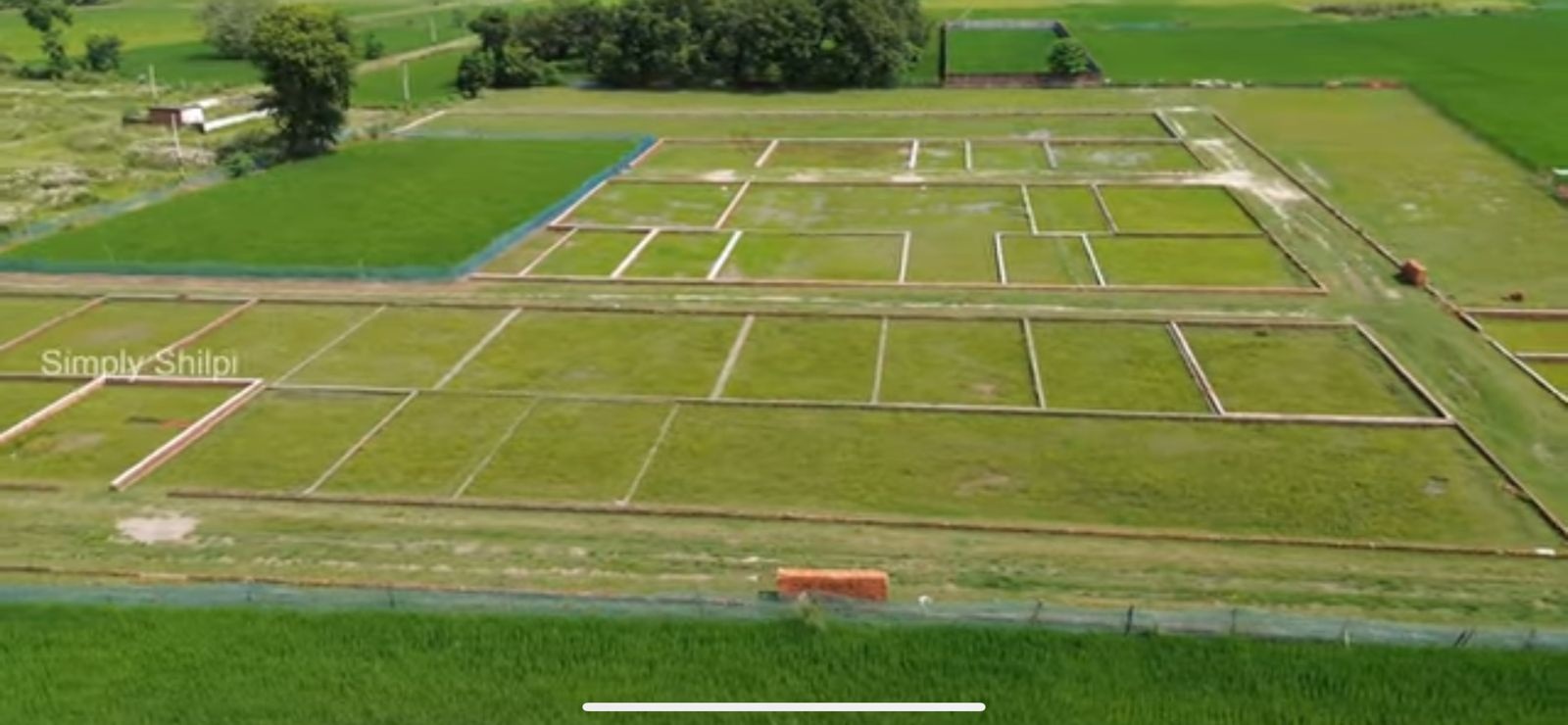 Trustroot Works Image