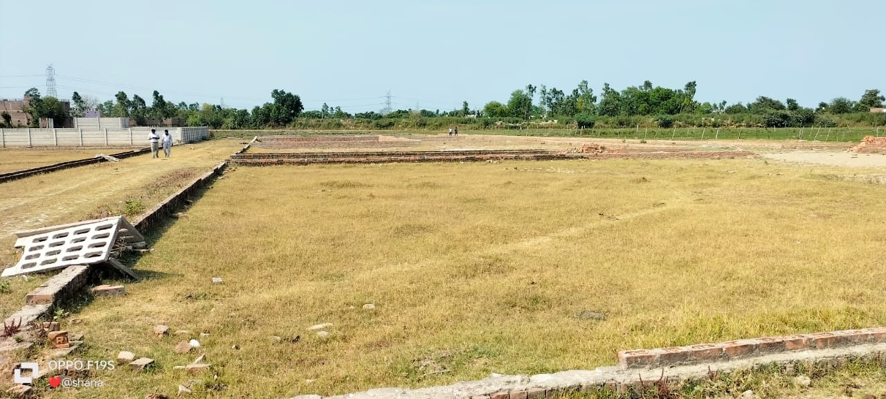 Trustroot Works Image