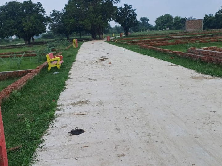 Trustroot Works Image