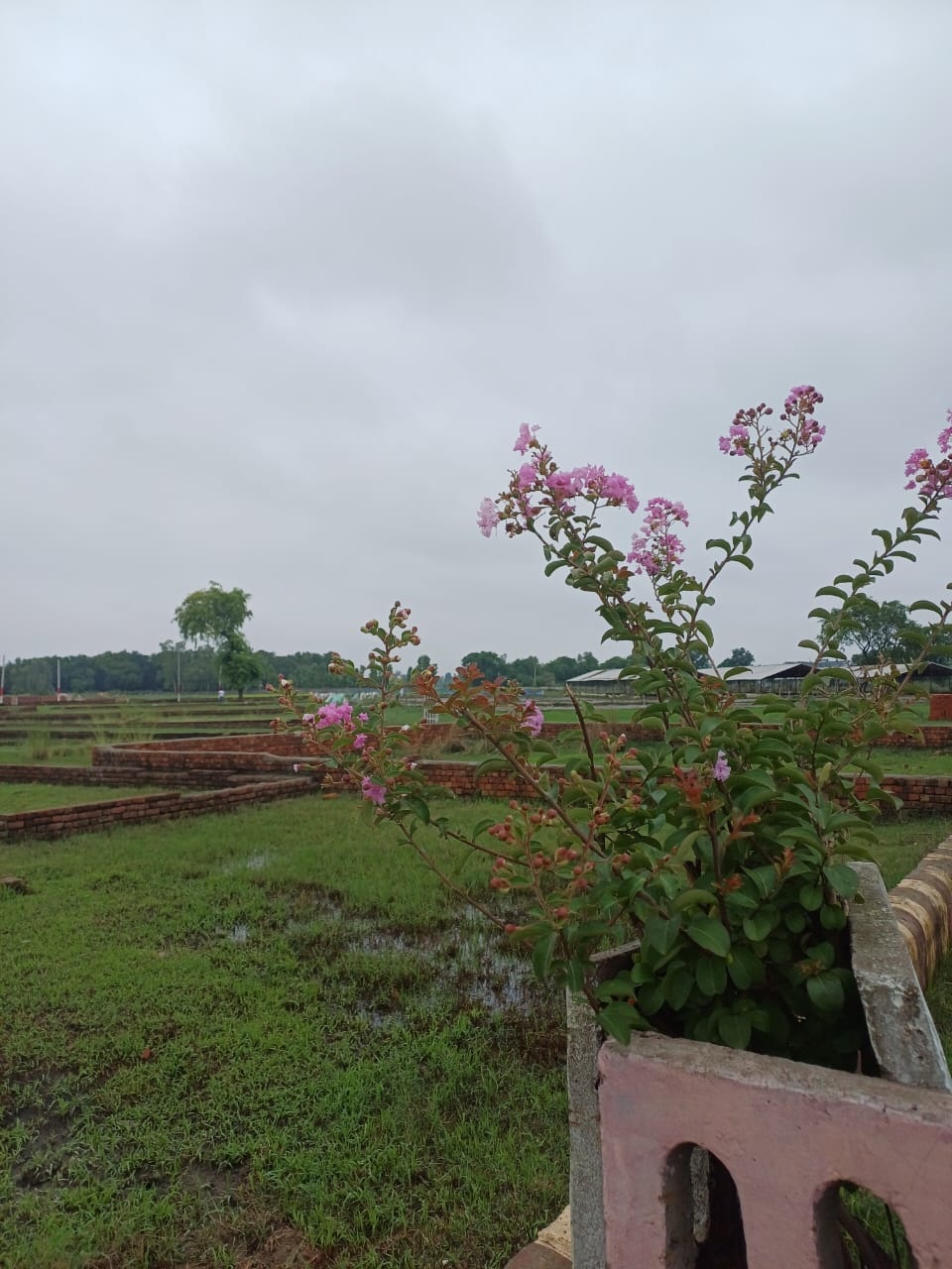 Trustroot Works Image